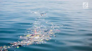 Sampah kiriman mengotori perairan Kepulauan Seribu di sekitar Pulau Pari dan Pulau Pramuka, Rabu (28/11). Sampah itu terbawa arus laut dan terdampar akibat angin serta hujan deras yang melanda daratan Pulau Jawa. (Liputan6.com/Faizal Fanani)