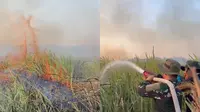 Kebakaran Way Kambas Belum Padam, Api Muncul Lagi