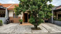 10 Pohon Buah Berakar Jinak Aman bagi Lantai Beton Jangka Panjang, Cocok untuk Halaman Rumah