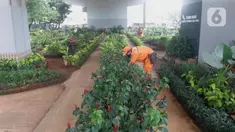 Petugas PPSU merawat tanaman di kolong flyover di Taman Bibit di Kebayoran, Jakarta, Jumat  (12/3/2021). Selain untuk mempercantik area kolong flyover, taman bibit tersebut dimanfaatkan sebagai sarana untuk bercocok tanam. (Liputan6.com/Angga Yuniar)