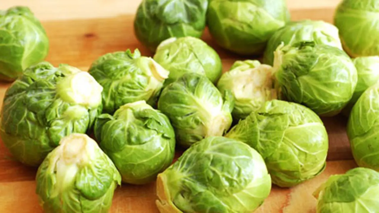 Foto: copyright topfoodsfact.com