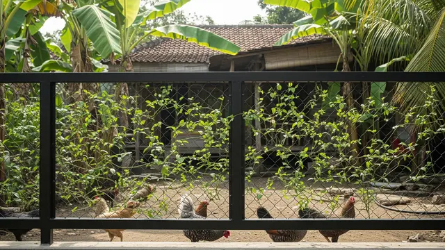 6 Desain Pagar Rumah yang Sekaligus Jadi Kandang Ayam, Cocok buat Lahan Terbatas
