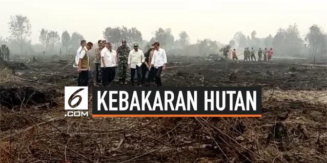 VIDEO: Tinjau Lokasi Kebakaran Hutan, Ini Kata Jokowi