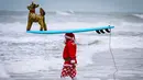 Seorang pengunjung berkostum Sinterklas bersiap untuk berselancar dalam acara Surfing Santa yang berlangsung di Pantai Cocoa, Florida, Amerika Serikat, Selasa (24/12/2024) waktu setempat. (AFP/Giorgio Viera)