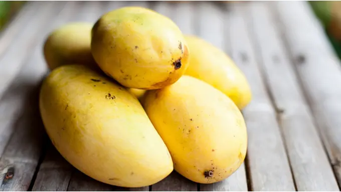 Courtesy ShutterStock.com