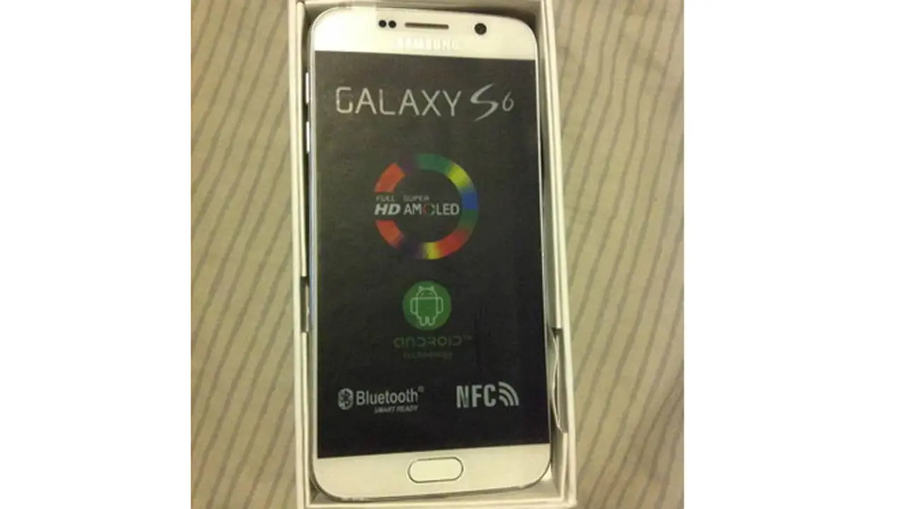 Samsung Galaxy S6 Palsu 