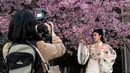 Dalam beberapa tahun terakhir, para ahli meteorologi negara ini telah menghubungkan mekarnya bunga sakura yang lebih awal dengan perubahan iklim, dan suhu udara di Tokyo telah mencapai tingkat yang tidak biasa dalam beberapa hari terakhir. (Photo by Richard A. Brooks / AFP)