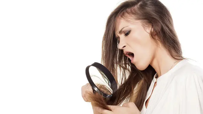 (c) shutterstock.com