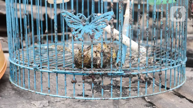 pasca kebakaran depo Pertamina Plumpang