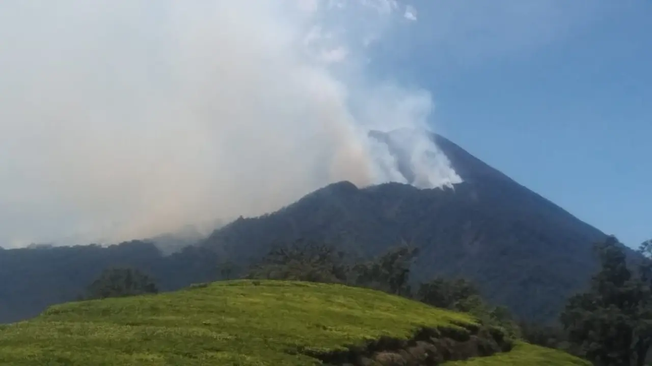 Kebakaran Gunung Slamet merembet dari Kabupaten Brebes ke Kabupaten Banyumas, Jawa Tengah. (Foto: Liputan6.com/Perhutani/Muhamad Ridlo)
