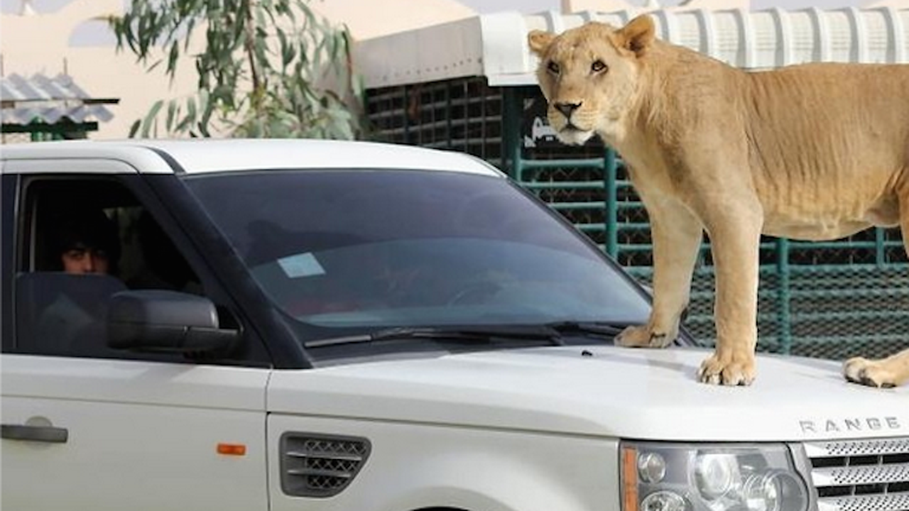 Begini Gaya Orang Kaya Bermain Instagram