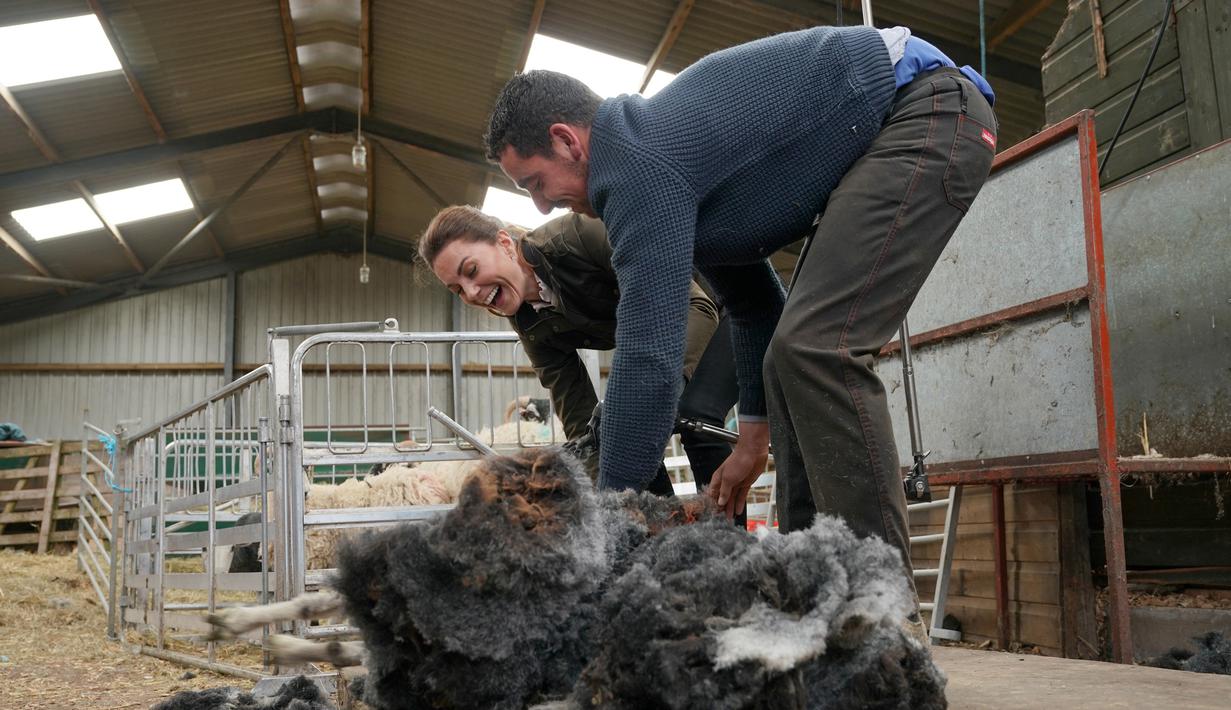 Duchess of Cambridge Kate Middleton (kiri) mencukur bulu domba saat berkunjung ke Deepdale Hall Farm, sebuah peternakan domba tradisional di Patterdale, Cumbria, Inggris, Selasa (11/6/2019). (Owen Humphreys/POOL/AFP)