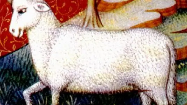 Ilustrasi Zodiak Aries