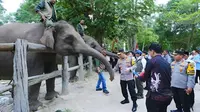 Kapolri Tinjau Tesso Nilo, Siapkan Pemulihan 81 Ribu Hektare Habitat Gajah Sumatera