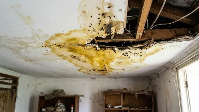 Penyebab Plafon Rumah Menguning yang Sering Tidak Disadari