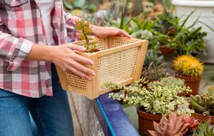 3 Trik Container Gardening yang Bikin Patio Kecil Terlihat Lebih Mewah