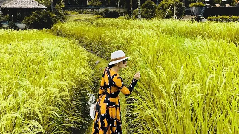 6 Seleb Tanah Air Ini Pilih Pematang Sawah Sebagai Spot Foto