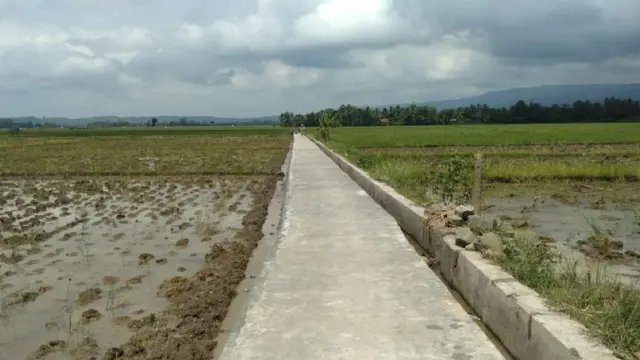 Petani Hingga Nelayan di Garut Rasakan Manfaat Jalan Usaha Tani Kementan
