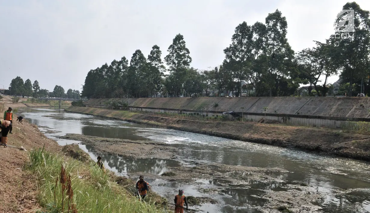 Petugas UPK Badan Air Dinas Lingkungan Hidup Provinsi DKI Jakarta membersihkan rerumputan dan sampah di dasar aliran Kanal Banjir Timur, Jakarta, Rabu (7/8/2019). Kemarau berkepanjangan mengakibatkan debit air Kanal Banjir Timur menyusut hingga dasar aliran terlihat. (merdeka.com/Iqbal Nugroho)