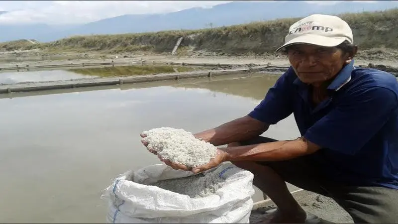 Petani Garam di Palu