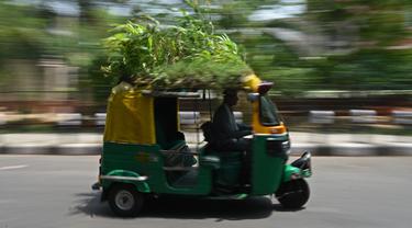 Pengemudi bajaj Mahender Kumar mengendarai kendaraan dengan 'taman' di atapnya, di New Delhi, India pada 2 Mei 2022. Bajaj kuning dan hijau ada di mana-mana di jalan-jalan New Delhi tetapi kendaraan Mahendra Kumar sangat menonjol -- ia memiliki taman di atapnya bertujuan untuk menjaga penumpang tetap sejuk selama musim panas yang menyengat. (Money SHARMA / AFP)