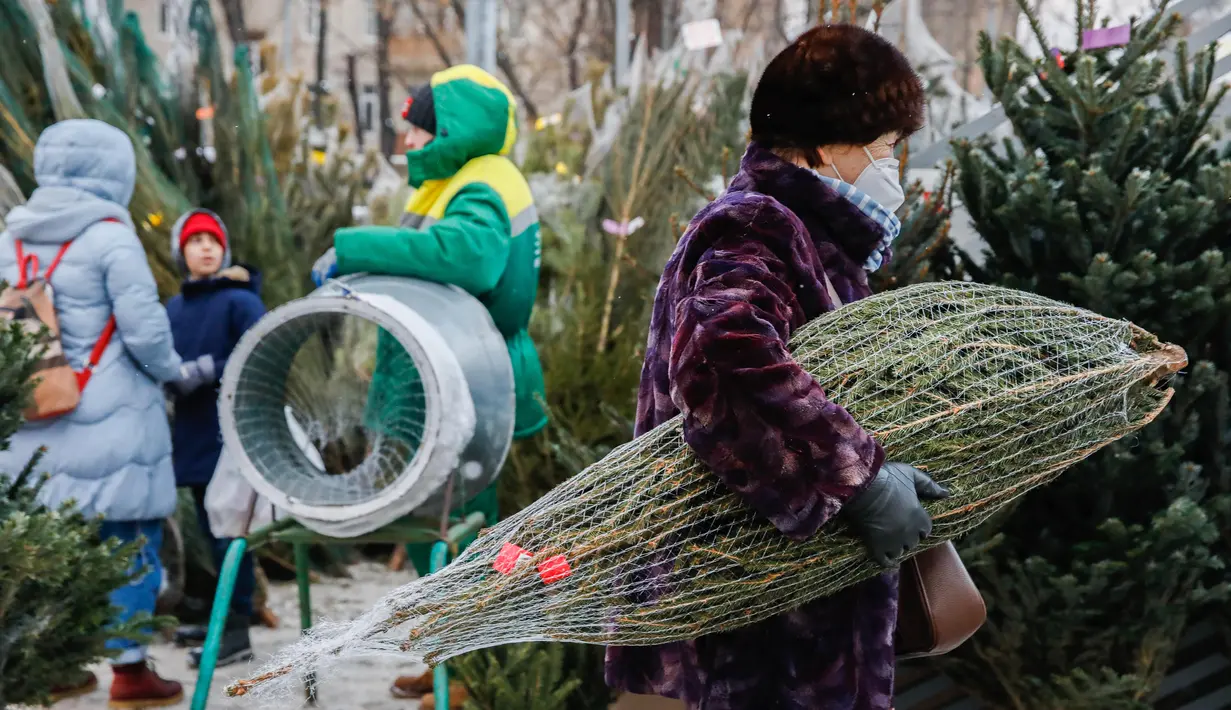 Seorang wanita membawa pohon untuk perayaan Tahun Baru di sebuah pasar di pusat kota Moskow, Rusia (27/12/2020). Pohon Tahun Baru pertama kali dibawa ke Rusia oleh Peter the Great. (Xinhua/Maxim Chernavsky)