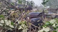 Hujan deras dan angin kencang di Kota Bogor, Jawa Barat pada Selasa (24/10/2023) sore memicu pohon tumbang hingga menimpa mobil di Jalan Raya Tajur. (Liputan6.com/Achmad Sudarno)