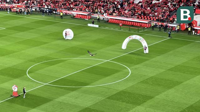 Cerita dari Portugal