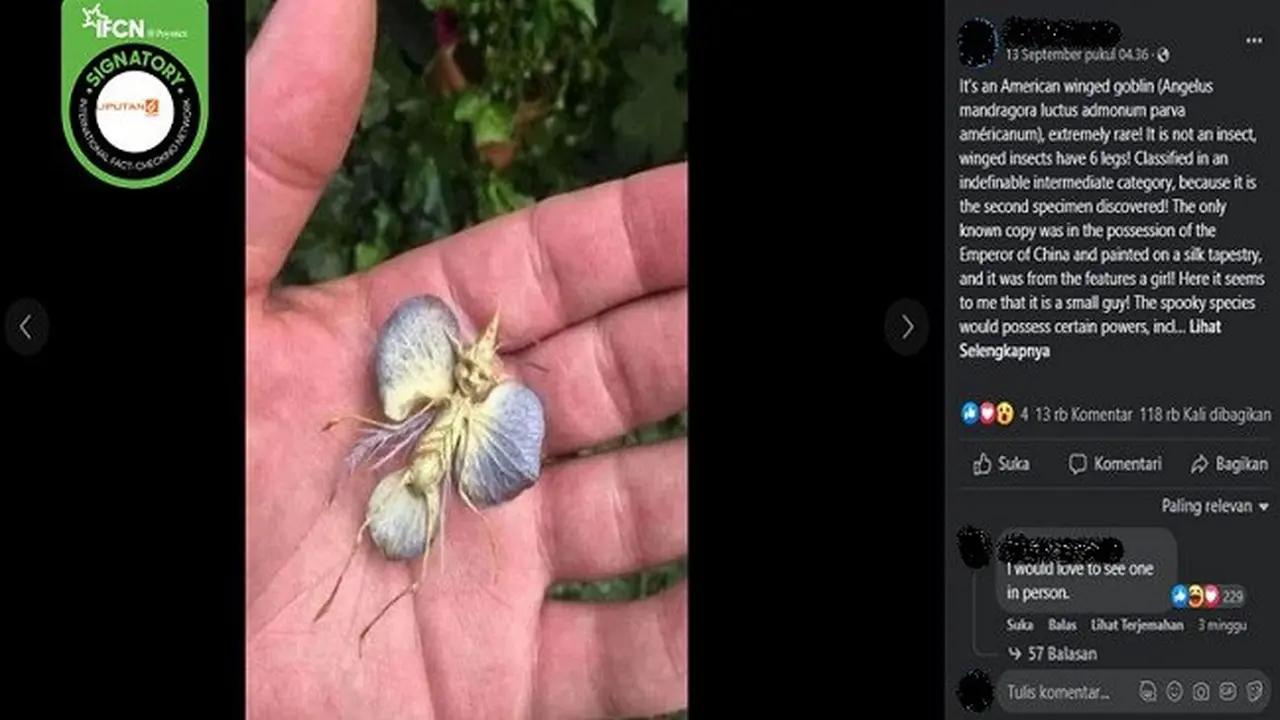 Gambar Tangkapan Layar Foto yang Diklaim Penampakan Goblin Bersayap (sumber: Facebook).