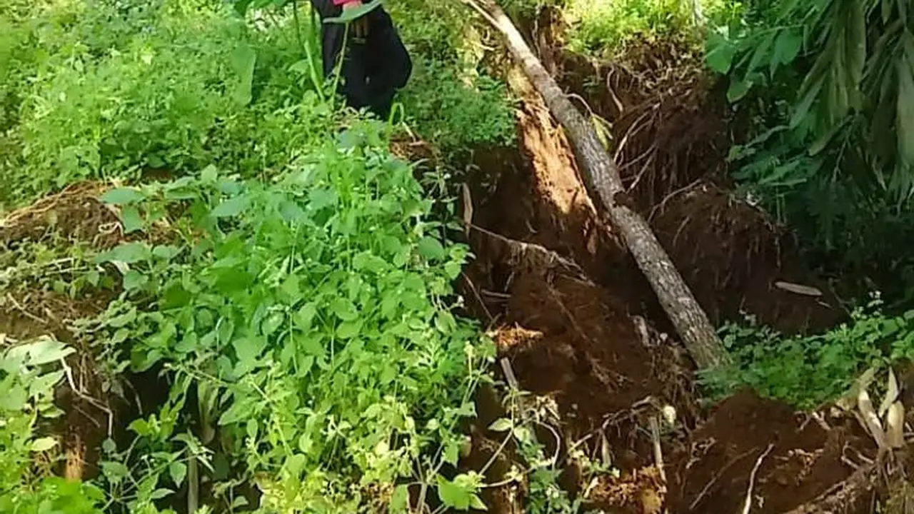 Retakan kembali muncul di tebing sisi jalan tanjakan Sikelir, Dusun Clibikan, Wanayasa Kecamatan Wanaya, Banjarnegara. (Foto: Liputan6.com/BPBD Banjarnegara/Muhamad Ridlo)