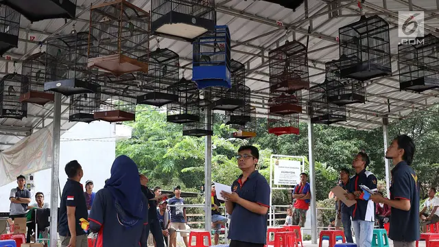 Lomba Kicau Burung Sedot Perhatian Warga di KBT