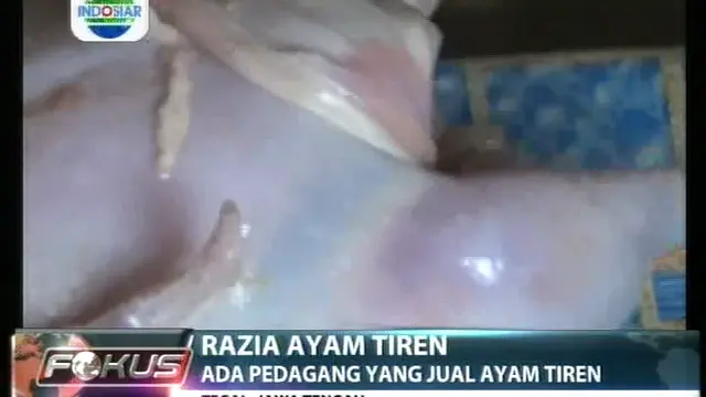 Razia Ayam Tiren, Ada Pedagang yang Jual Ayam Tiren