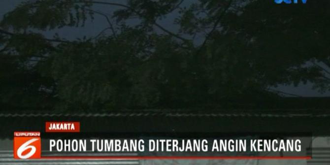 Pohon Tumbang Timpa 2 Rumah di Duren Sawit