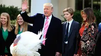 Presiden AS, Donald Trump bersama Ibu Negara Melania Trump dan putra Barron berpartisipasi dalam upacara pengampunan kalkun di Hari Thanksgiving yang ke 70 tahun di Taman Mawar Gedung Putih di Washington, AS, (21/11). (AP Photo / Manuel Balce Ceneta)