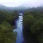 Hutan dan sungai Batang Kawa di wilayah adat Kinipan di Desa Kinipan, Kecamatan Batang Kawan, Kabupaten Lamandau. (Liputan6.com / Save Our Borneo)