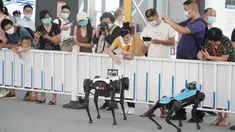 Para pengunjung berinteraksi dengan dua robot berkaki empat di area ekshibisi robot layanan dalam Pameran Perdagangan Jasa Internasional China (CIFTIS) 2020 di Beijing, ibu kota China, pada 7 September 2020. CIFTIS digelar pada 4-9 September di Beijing. (Xinhua/Cai Yang)