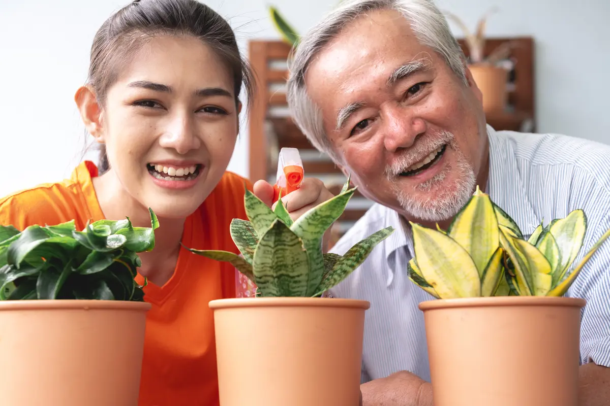 anak perempuan cinta pertama ayah