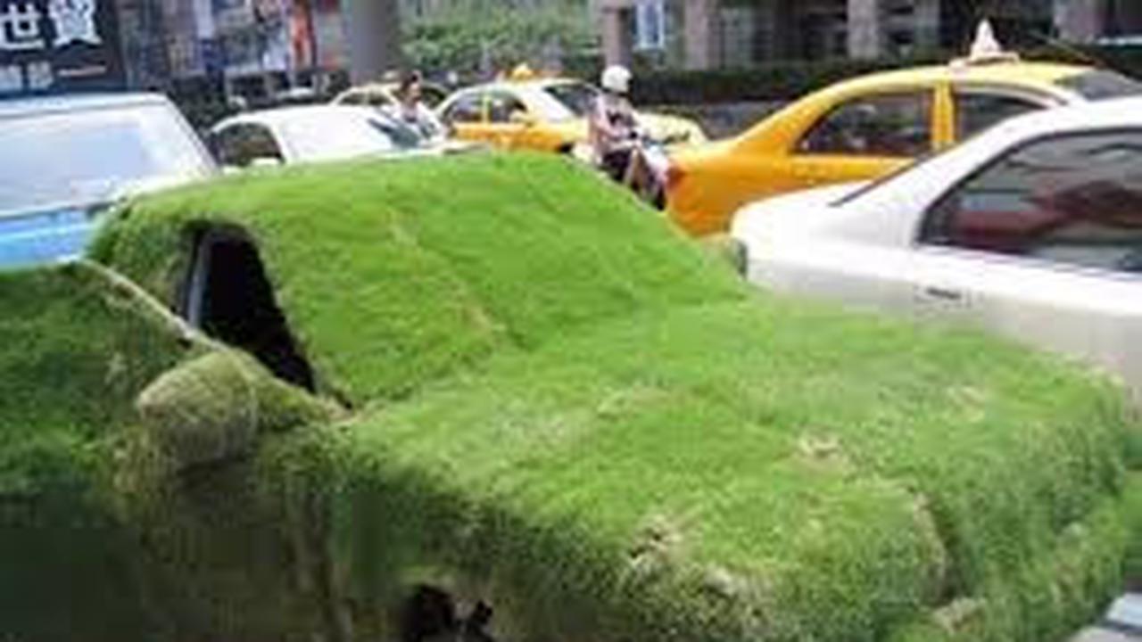 Mobil rumput (1cak)