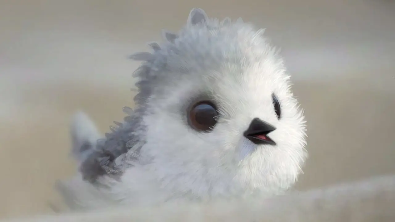 Piper