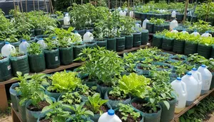 6 Cara Memanfaatkan Galon Bekas agar Jadi Kebun Sayur Produktif, Kreatif dan Estetik