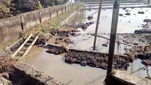 Banjir Garut Rusak Lahan Pertanian
