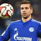 Pada bulan Januari Nastasic dipinjam Manchester City ke Schalke 04.