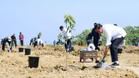 Presiden Joko Widodo atau Jokowi meluncurkan food estate atau lumbung pangan di Kabupaten Gresik Jawa Timur, Senin (22/8/2022). (Biro Pers Sekretariat Presiden)