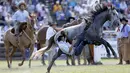 Seorang gaucho terjatuh saat menunggangi kuda liar dalam perayaan Pekan Creole di Montevideo, Uruguay, (23/3). Para gaucho ini akan memperebutkan gelar pengendara terbaik. (REUTERS/Andres Stapff)