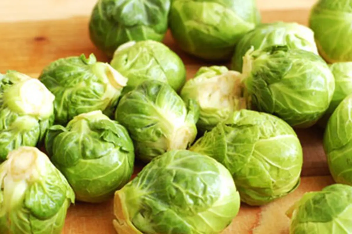 Foto: copyright topfoodsfact.com