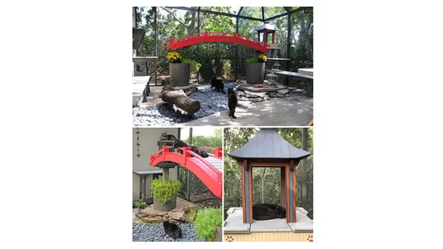 Niat Banget, 6 Kandang Kucing Ini Punya Desain dengan Arsitektur Keren