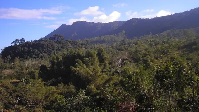 Pemandangan di Gunung Keli Lepembusu di Flores dekat dari Gunung Kelimutu. (Dok: Gunung Bagging https://www.gunungbagging.com/keli-lepembusu/)