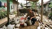 TOP 3: Ternak Mini Cepat Panen, Ternak Ikan Kolam Terpal, dan Dapur Tropis Modern Sejuk