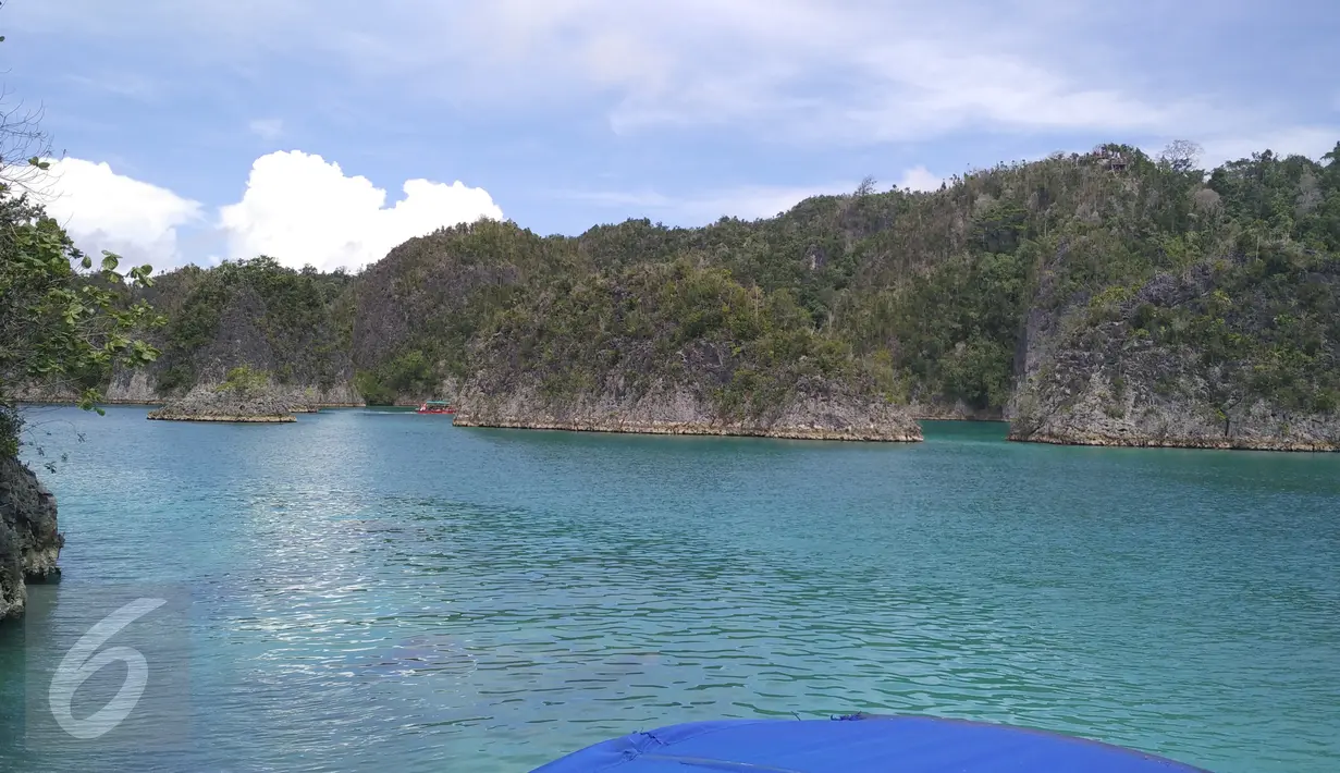 Suasana pemandangan Pulau Piaynemo di Kabupaten Raja Ampat, Papua Barat. Pulau ini menjadi salah satu ikon Raja Ampat dan tempat favorit para turis untuk berfoto-foto. (Liputan6.com/Zulfi Suhendra)