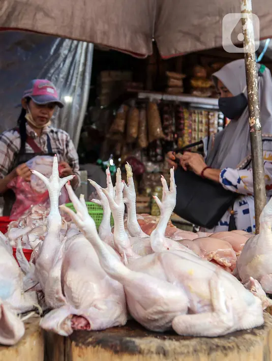 Kondisi ini perlu diawasi lebih lanjut guna memahami faktor-faktor yang memengaruhi fluktuasi harga pangan dan mengambil langkah-langkah yang tepat untuk menjaga stabilitas harga dan ketersediaan pangan di masyarakat. (Liputan6.com/Angga Yuniar)